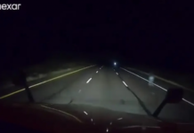 Shoferi xhiron kalimthi një ‘shpirt’ në autostradën e ‘mallkuar’ të Arizona, me shumë aksidente fatale
